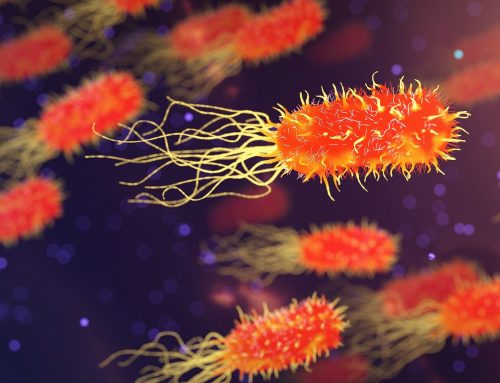 Un estudio analiza la relación entre la dieta y el microbioma con el cáncer colorrectal