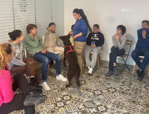 Los chicos del ‘Club de amigos’ disfrutan de terapia asistida con animales de la Fundación Canis Majoris
