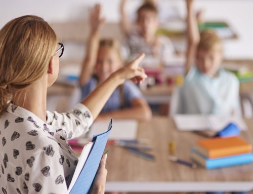 CEDDD y ANCEE advierten de que el aval del TC a la LOMLOE tendrá «efectos adversos para estudiantes con discapacidad»