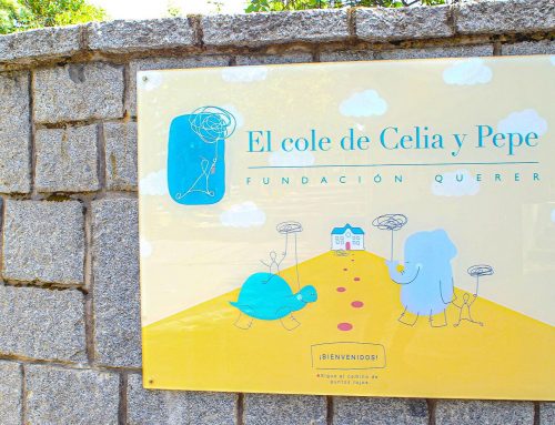 Evaluación, adaptación y trabajo holístico: el modelo clínico y educativo de ‘El Cole de Celia y Pepe’