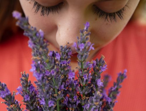 Los aromas relajantes pueden modificar nuestro cerebro