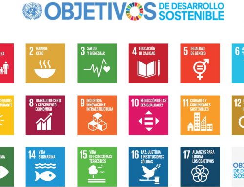 El compromiso de Fundación Querer con el desarrollo sostenible: ya cumplimos 15 de los 17 objetivos mundiales