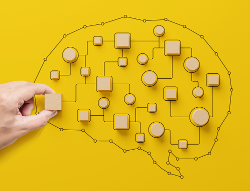 La ciencia construye un “Google Maps” del cerebro en desarrollo