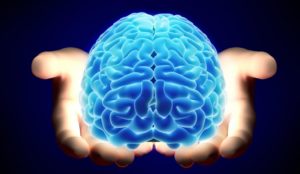 mitos-cerebro0_0
